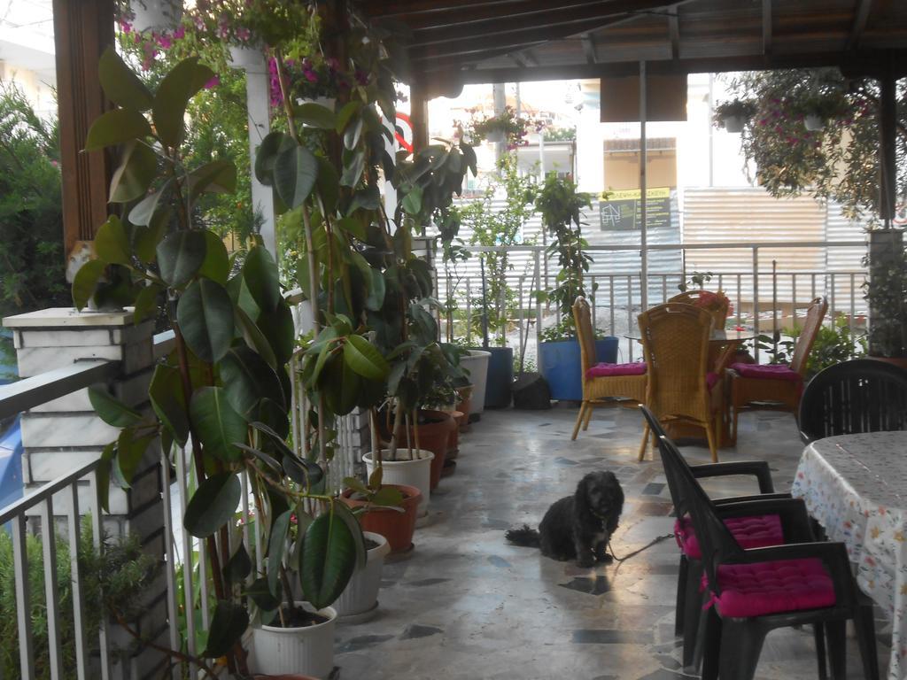 Paralía Hotel Germany מראה חיצוני תמונה